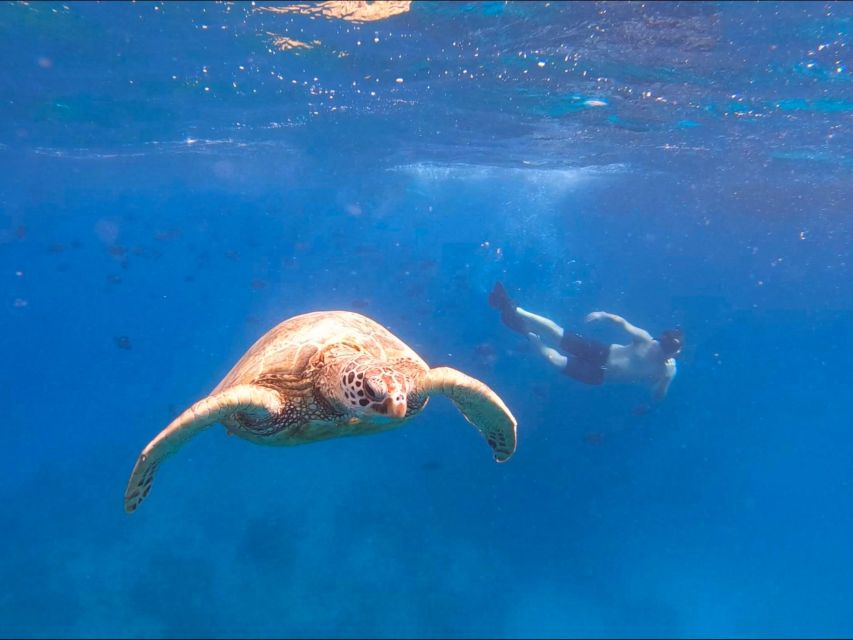 Oahu Snorkeling with Turtles, Water Scooter, Paddleboard - Paddleboarding on open waters: a different way to see the same sea