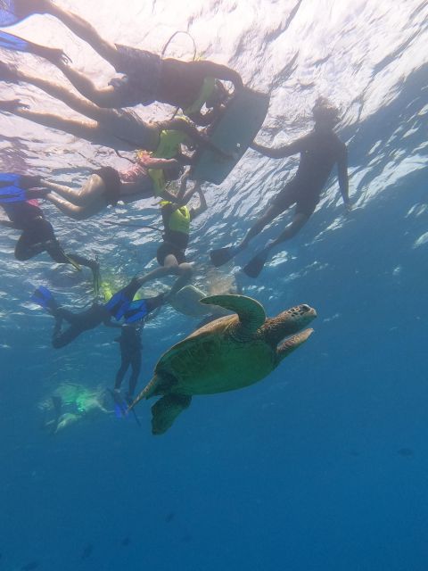 Oahu Snorkeling with Turtles, Water Scooter, Paddleboard - Food on board: musubi and hot noodles when you’re warm again