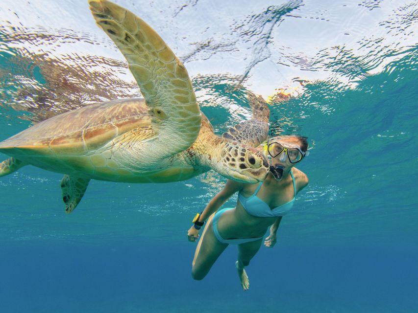 Oahu Snorkeling with Turtles, Water Scooter, Paddleboard - Who this tour suits best, and who should reconsider