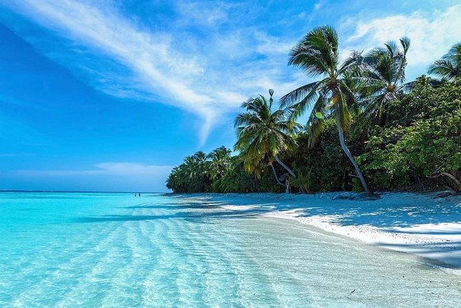 Oahu Ultimate Circle Island: 30 Spots, 10 Epic Stops - Price and Value: What $108 Buys on Oahu