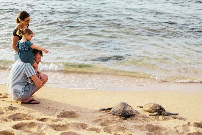 Oahu Ultimate Circle Island: 30 Spots, 10 Epic Stops - Macadamia Nut Farm and Dole Plantation: Food Stops That Break the Road