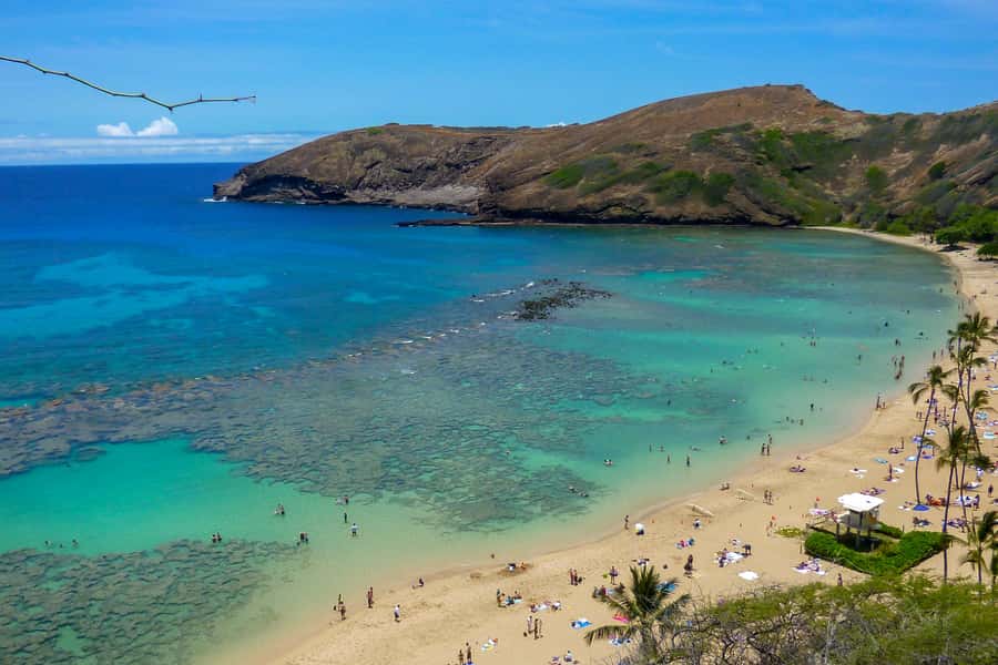 Oahu: Ultimate Pearl Harbor and Circle Island Tour - Halona Blowhole: Classic Shoreline Photos and Lava-Edge Drama