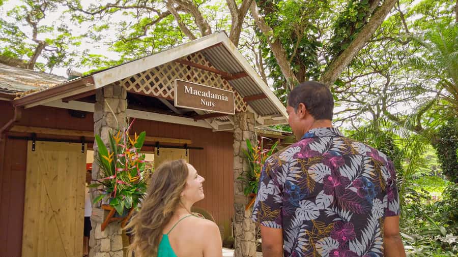 Oahu: Ultimate Pearl Harbor and Circle Island Tour - Price and Value: Is $145 a Good Deal?