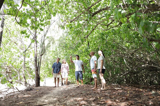 Oahu Uncovered: Full Island Tour with a Local Guide - Waimea Bay and the North Shore mood shift