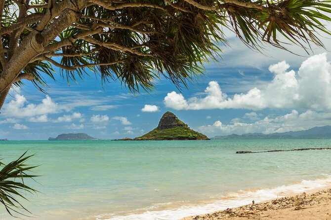 Oahu Unveiled: Tailored Luxury Private Island Tour - Why This Private Oahu “Circle” Day Feels Different