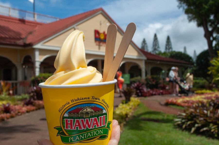 Oahu: Valley of Waimea Falls Swim & Hike with Lunch & Dole - Greenworld Coffee Farm Breakfast: Fuel Before the Trail
