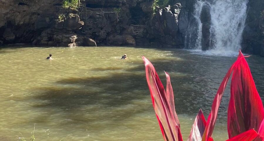 Oahu: Valley of Waimea Falls Swim & Hike with Lunch & Dole - Dole Plantation Stop: Pineapple Snacks With a Tourist Vibe