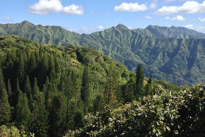 Oahu Volcanic Rainforest Hiking Adventure - Waterfalls, Streams, and the Final Big Moment