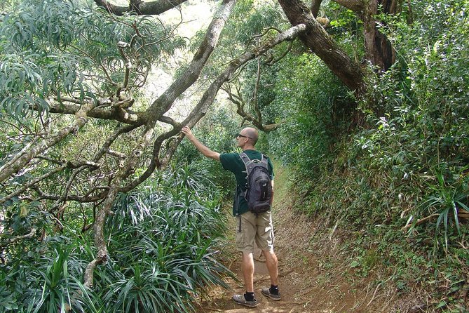 Oahu Volcanic Rainforest Hiking Adventure - Guides You Actually Want to Listen To: Terry, Terii, Daniel, Rodolfo, Matias, Elika