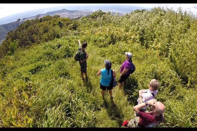 Oahu Volcanic Rainforest Hiking Adventure - Your Morning in Waikiki: Pickup, Timing, and Small-Group Size