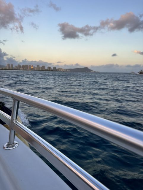 Oahu: Waikiki Fireworks Boat Cruise from Oahu - Underwater Viewing Room: Marine Life Without the Guesswork