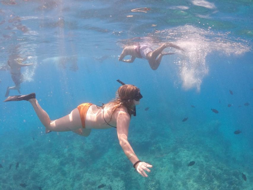 Oahu: Waikiki Turtle Snorkeling Adventure Cruise - Pink Sails Waikiki Turtle Cruise: Why This 2-Hour Adventure Works