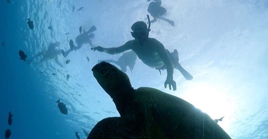 Oahu: Waikiki Turtle Snorkeling Adventure Cruise - Catamaran Comfort on Waikiki: The Part You’ll Actually Notice