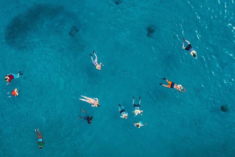 Oahu: Waikiki Turtle Snorkeling Adventure Cruise - From Check-In to the Water: How the Timeline Feels in Real Life