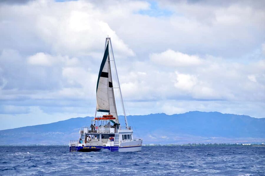 Oahu: Waikiki Whale Watching Cruise - Key Things That Matter Most on This Waikiki Whale Cruise