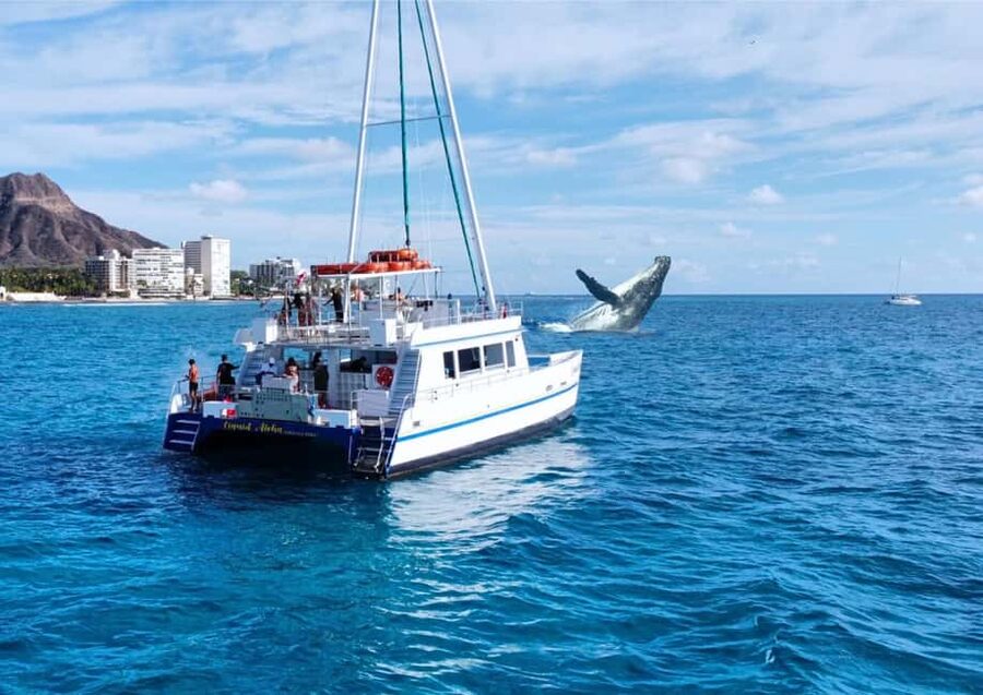 Oahu: Waikiki Whale Watching Cruise - Two Viewing Decks Plus a Shaded Lower Cabin (So You’re Not Fighting the Sun)