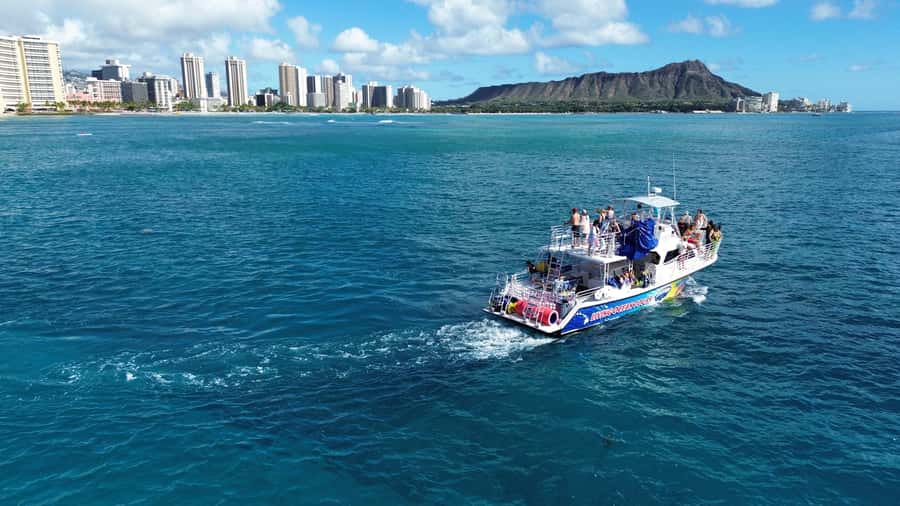 Oahu: Whale Watching Cruise Whales Guaranteed - The 90-minute timing game: where sunset fits best