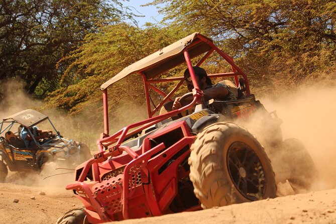 Off-Road ATV Adventure with Roundtrip Shuttle from Waikiki - Getting From Waikiki to Coral Crater Without the Hassle