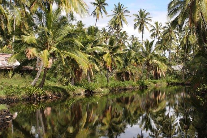 One-Day Tour Hawaii Movie Tour: Island Hopping from Oahu to Kauai - How the 4:30 am Start Shapes Your Whole Day