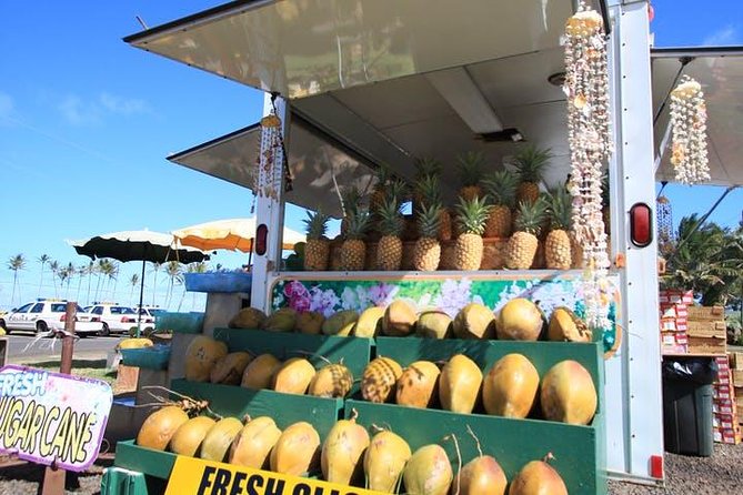 One-Day Tour Hawaii Movie Tour: Island Hopping from Oahu to Kauai - Hanama’ulu Bay + More Movie Stops Between Wailua and Opaekaa