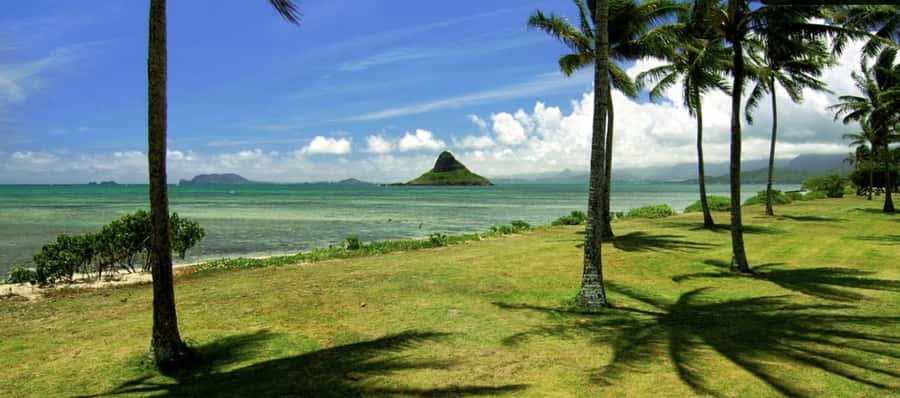 Pearl Harbor and Scenic Oahu Private Tour - Key highlights worth your attention
