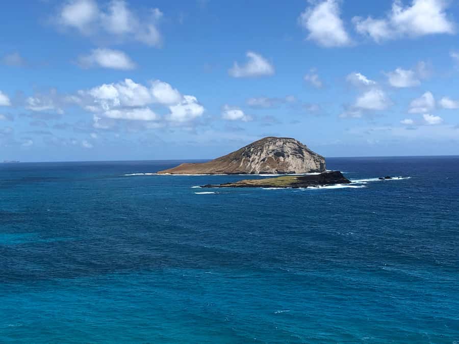 Pearl Harbor and Scenic Oahu Private Tour - Pickup, Van Time, and the Reality of a 6-Hour Schedule