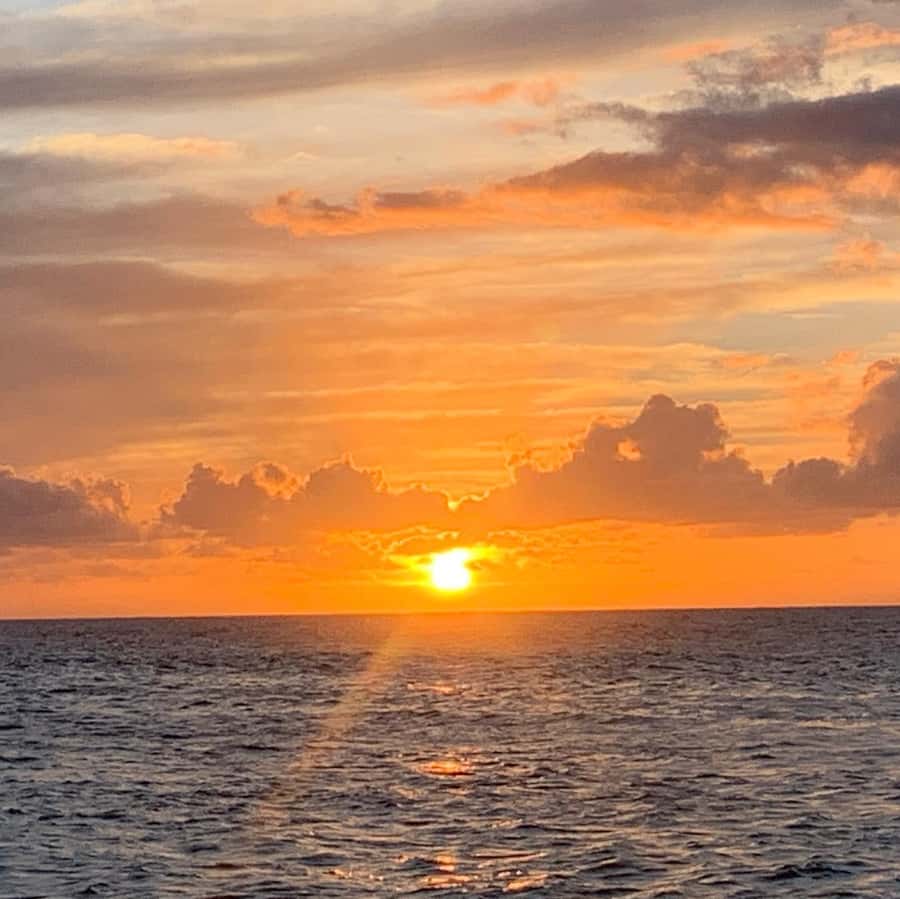 Pearl Harbor and Scenic Oahu Private Tour - Dole Plantation and Haleʻiwa: Easy Hawaii Flavor Stops