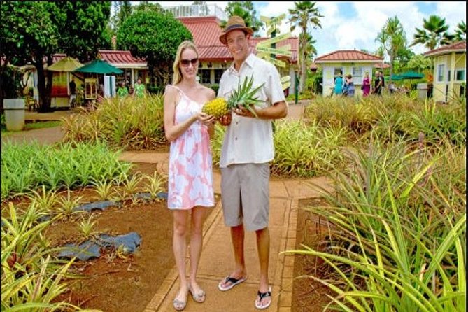 Pearl Harbor, Dole Plantation, Polynesian Center from Waikiki - Price and logistics: what you’re really paying for