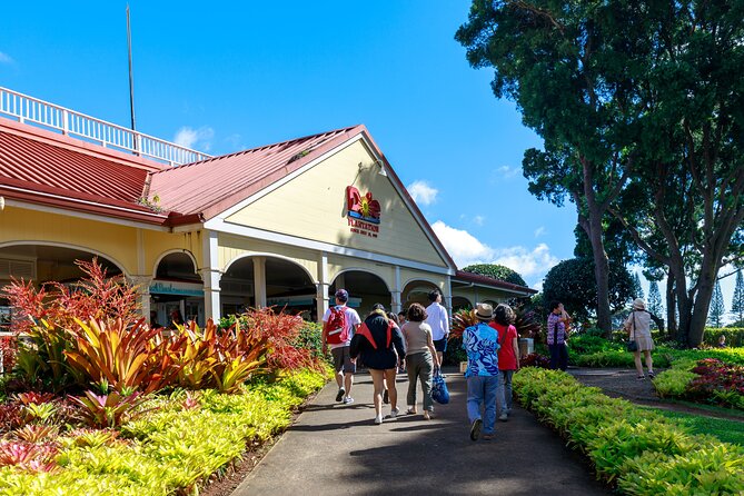 Premium Oahu Circle Island Tour – Small Group, No Crowds - Why this Oahu circle tour feels efficient (and still personal)