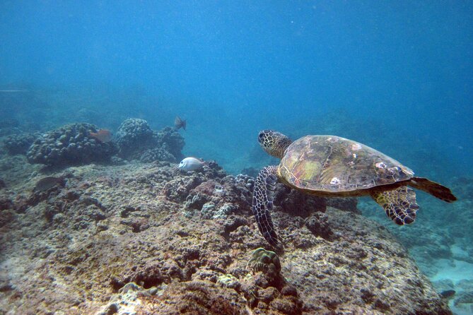 Private 5Hrs Island Tour with 2Hrs Sail and Snorkel with Turtles - A day with both road views and real ocean time