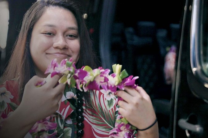 Private Arrival Transfer: Honolulu International Airport to Oahu Hotels or Cruise Terminal - Who This Transfer Is Best For