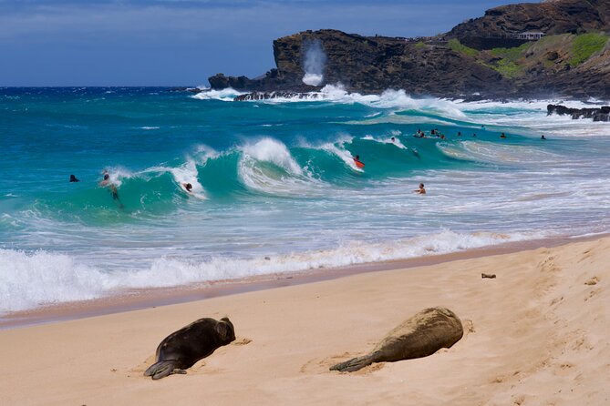Private Circle Island Tour-Oahu-Customizable - Morning start: Waikiki to Diamond Head without wasting time