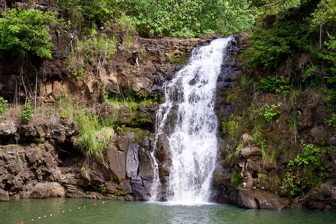 Private Circle Island Tour-Oahu-Customizable - Nu‘uanu Pali Lookout: included admission and strong trade winds