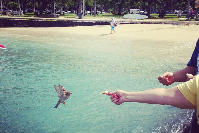 Private Dole,Garlic Shrimp,Haleiwa,North Shore Customizable tour - Getting pickup right: Waikiki hotel pickup and a day that starts on time