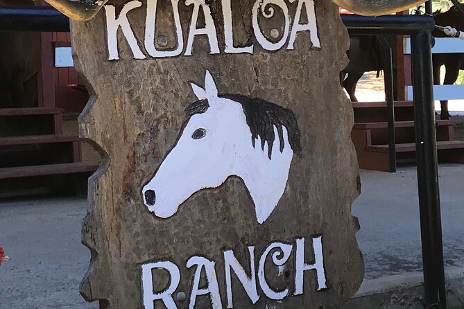 Private Full-Day Circle Island Guided Small-Group up to 6 (Se habla Español) - Halona Blowhole and Makapu‘U: Where Winter Can Change Everything