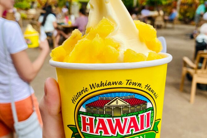 Private Half-Day Circle Island Highlights Tour in Oahu - How the day is paced (and why it works)