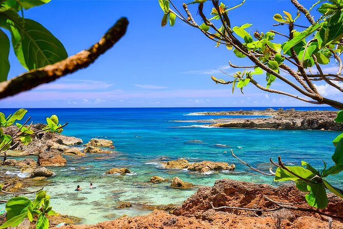 PRIVATE Premium Circle Island Tour (12 Stops) - Stop 3: Makapu‘u Point Lookout (10 Minutes)