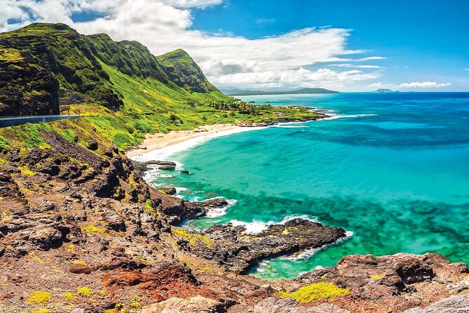 PRIVATE Premium Circle Island Tour (12 Stops) - Stop 5: Tropical Farms Macadamia Nut Stop (20 Minutes)