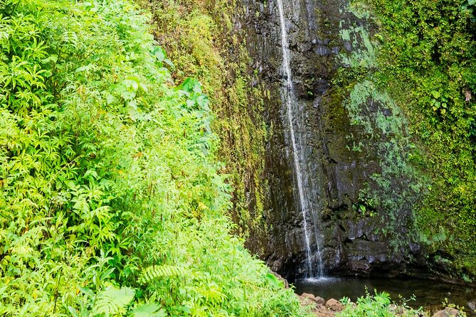 PRIVATE TOUR-Hike Diamond Head & Hawaiian Waterfall - The beach plate breakfast and included snacks (yes, it matters)