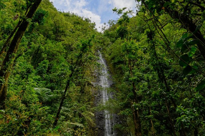 PRIVATE TOUR-Hike Diamond Head & Hawaiian Waterfall - What the 6-hour timeline feels like in real life