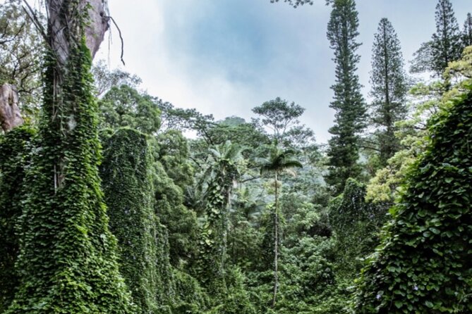 PRIVATE TOUR-Hike Diamond Head & Hawaiian Waterfall - How the 6:00 am schedule sets you up for a smoother hike