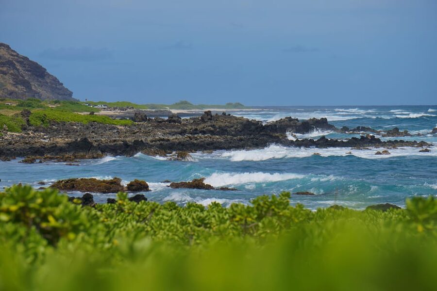 Private Tour Oahu-Circle Island-Customizable - Key highlights you should care about