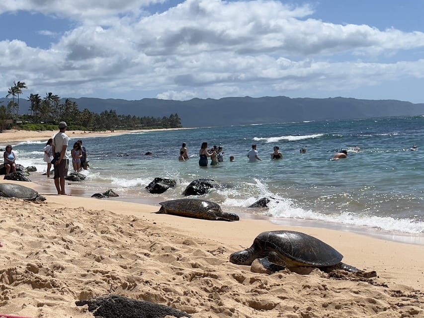 Private Tour Oahu-Circle Island-Customizable - Halona Blowhole and Sandy Beach: where the ocean does the talking