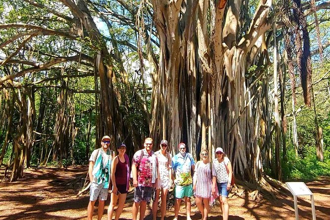 Private Tour Oahu Circle Island - Fully Personalized Experience - Snorkeling gear included, but know what costs extra