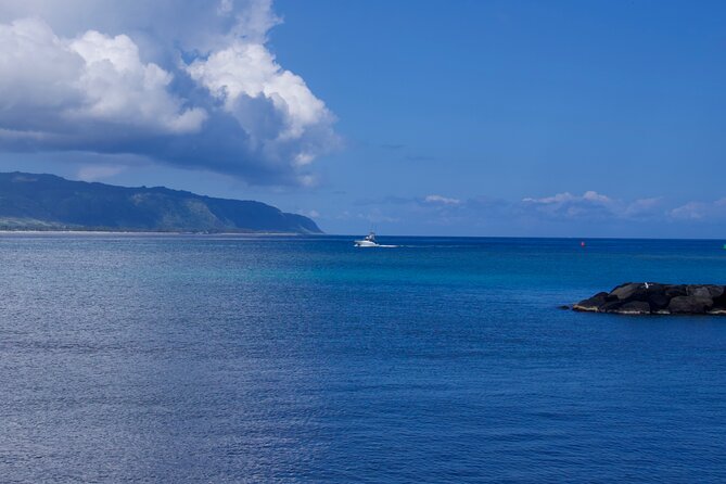 Private Tour Oahu including Waimea Waterfall-Customizable - Waimea Valley: where the waterfall time becomes the main event