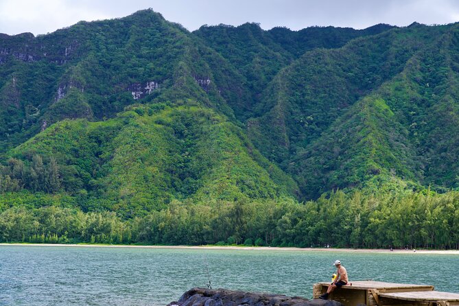 Private Tour Oahu including Waimea Waterfall-Customizable - Monk seal and the coast-to-coast drive: the “watch the horizon” section