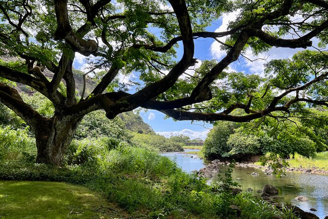 Private Tour Oahu including Waimea Waterfall-Customizable - Waikiki warm-up: Kalakaua Avenue and Kapiolani Park context