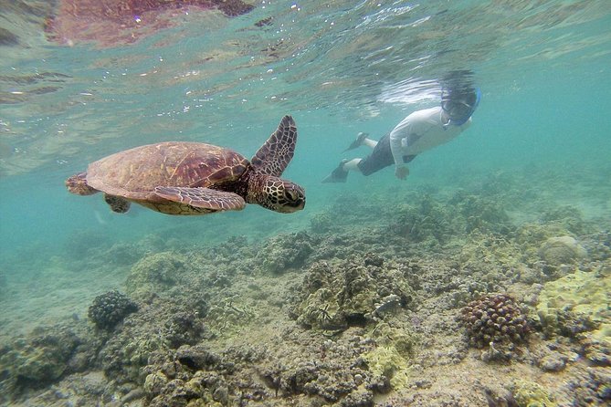 Private Tour of Oahu for 6 to 11 people - up to 8 hours - The culture-and-coast route: building your day around Oahu’s best zones