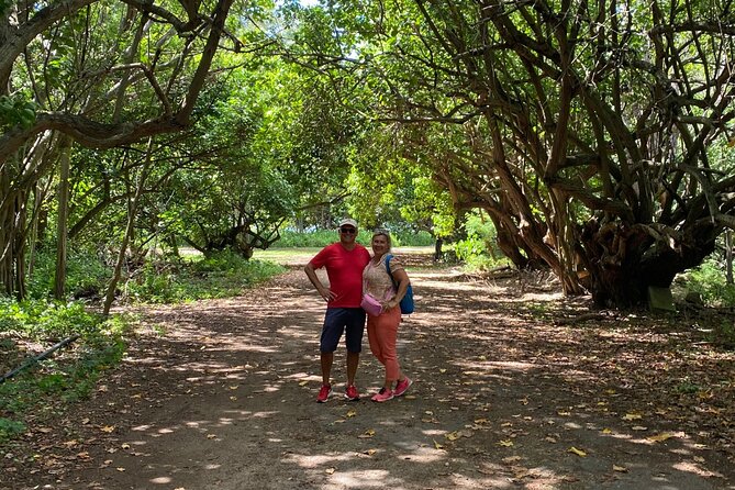 PRIVATE TOUR-Ultimate North Shore Experience - Waimea Valley: the 3/4-mile walk that earns the 45-foot waterfall swim