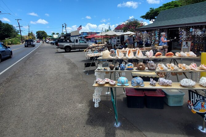 Round Trip North Shore Shuttle from Waikiki to Haleiwa Town / Haleiwa Harbor - Haleiwa Town and Haleiwa Boat Harbor: Your Best Use of the Time